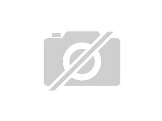 Suche Diepholzer Gänse 1 1 von 2021 naturbrut